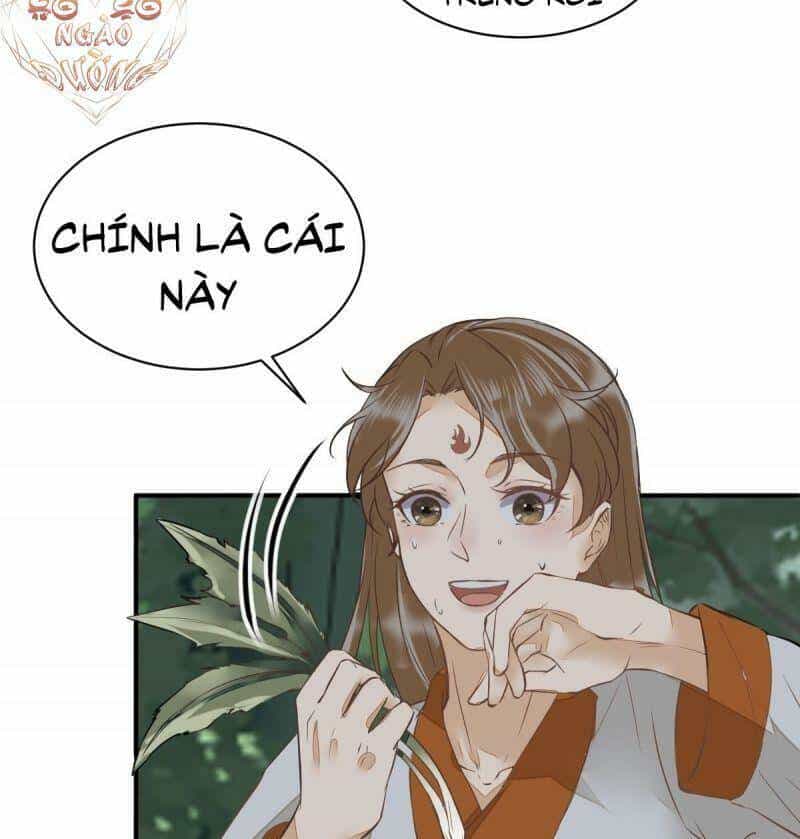 Sát Thủ Vương Phi Không Dễ Chọc - Chương 78 - ảnh 7