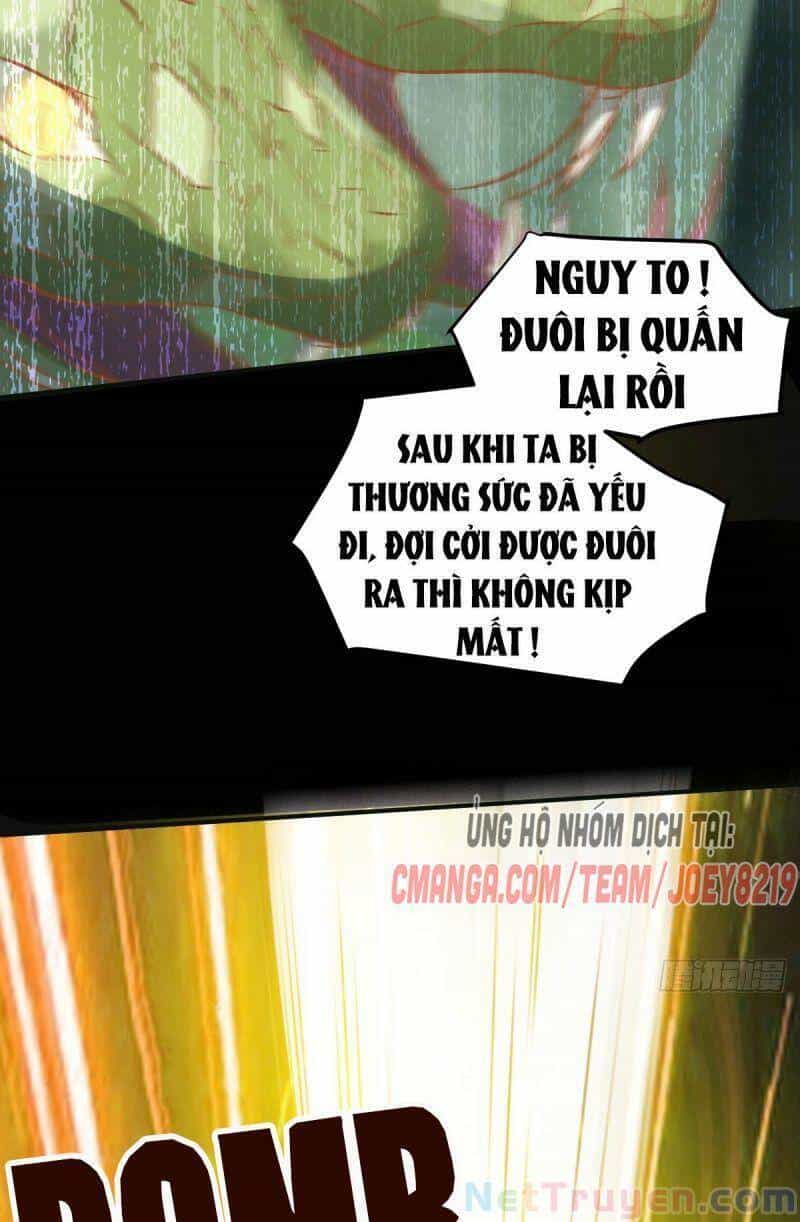 Sát Thủ Vương Phi Không Dễ Chọc - Chương 79 - ảnh 10