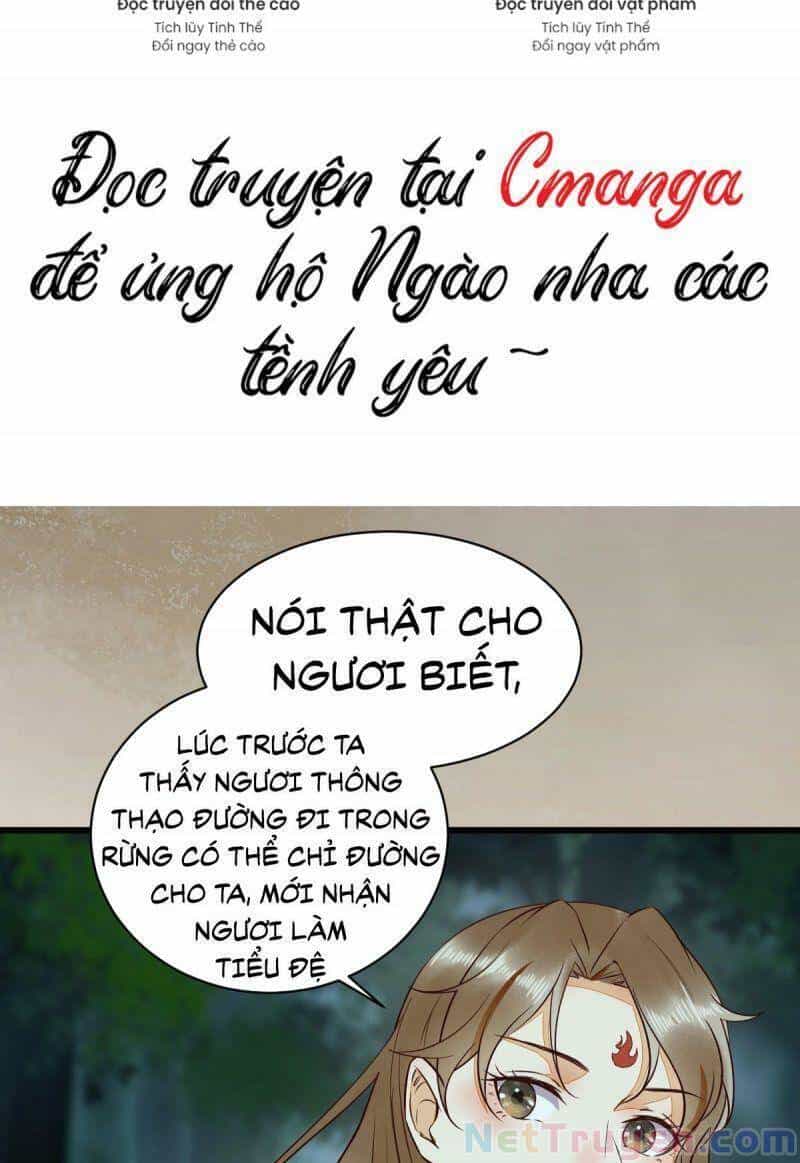 Sát Thủ Vương Phi Không Dễ Chọc - Chương 79 - ảnh 31