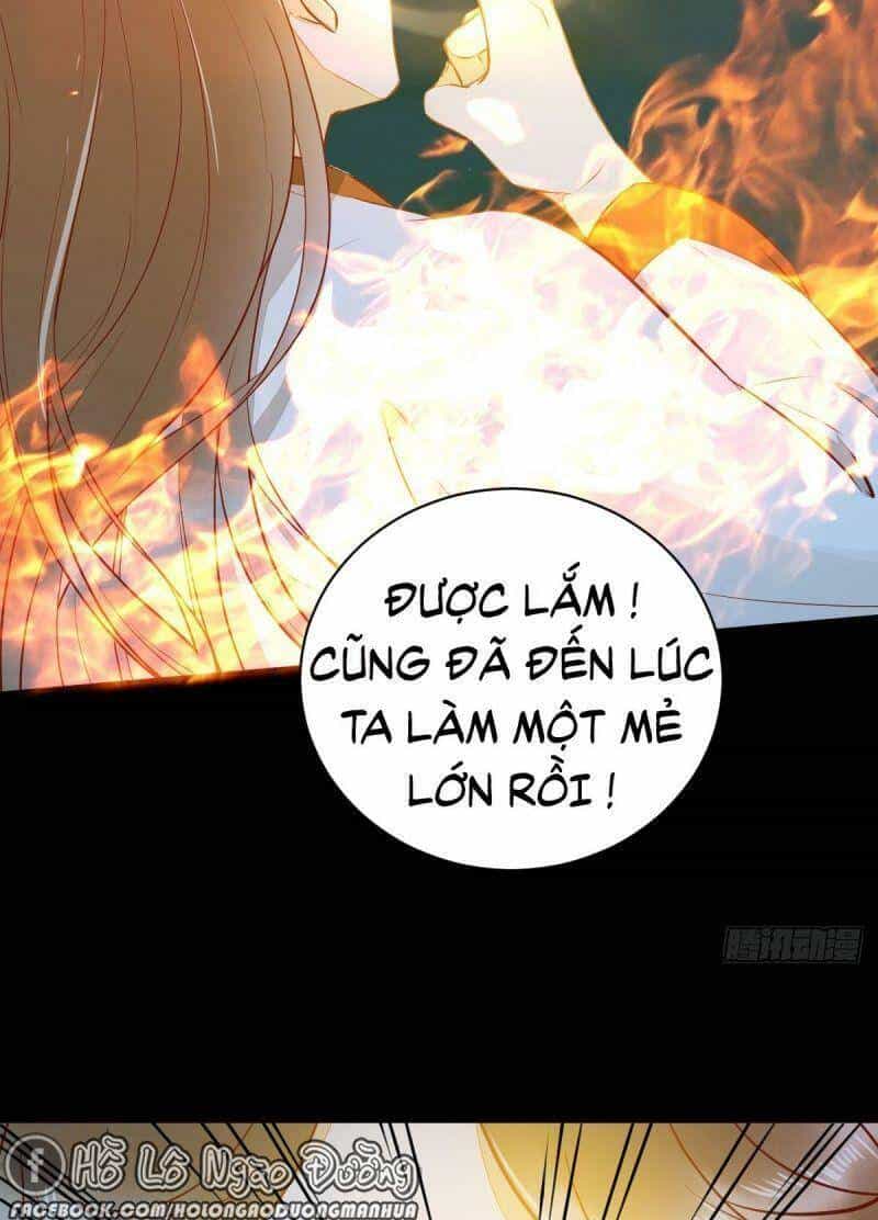 Sát Thủ Vương Phi Không Dễ Chọc - Chương 80 - ảnh 23