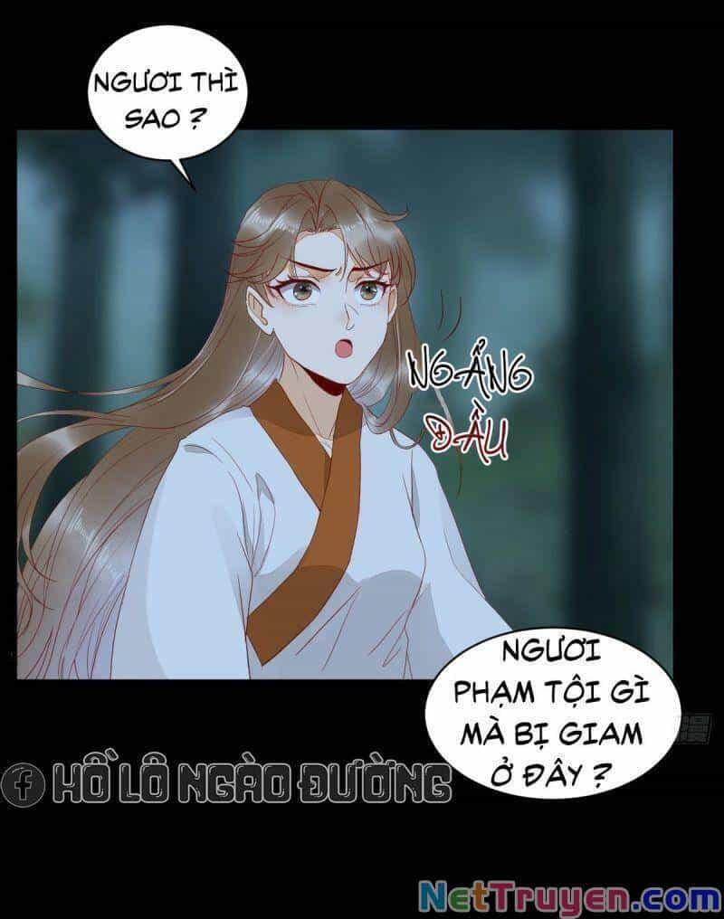Sát Thủ Vương Phi Không Dễ Chọc - Chương 81 - ảnh 27