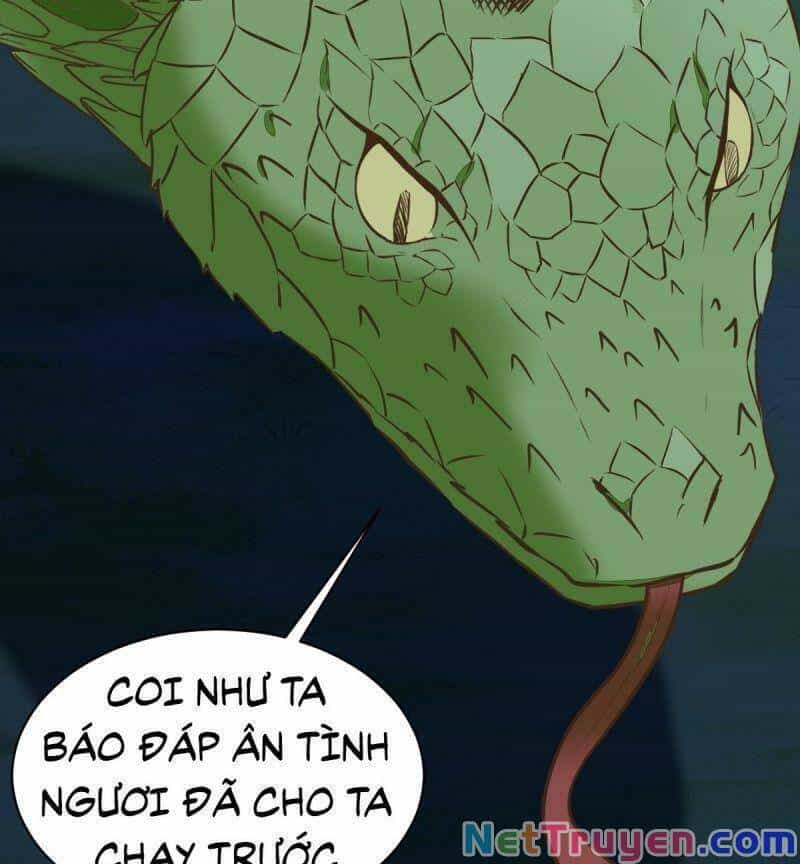 Sát Thủ Vương Phi Không Dễ Chọc - Chương 82 - ảnh 31