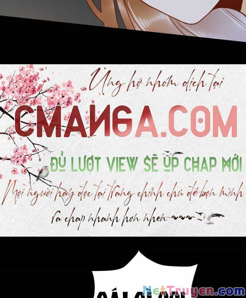 Sát Thủ Vương Phi Không Dễ Chọc - Chương 83 - ảnh 29