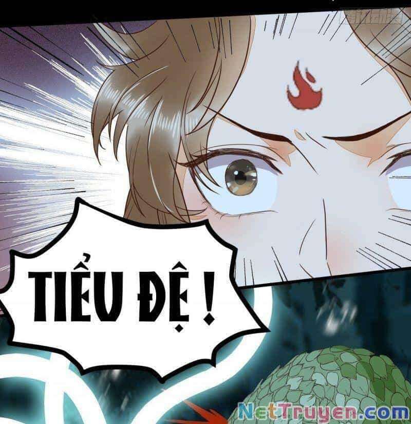 Sát Thủ Vương Phi Không Dễ Chọc - Chương 83 - ảnh 39