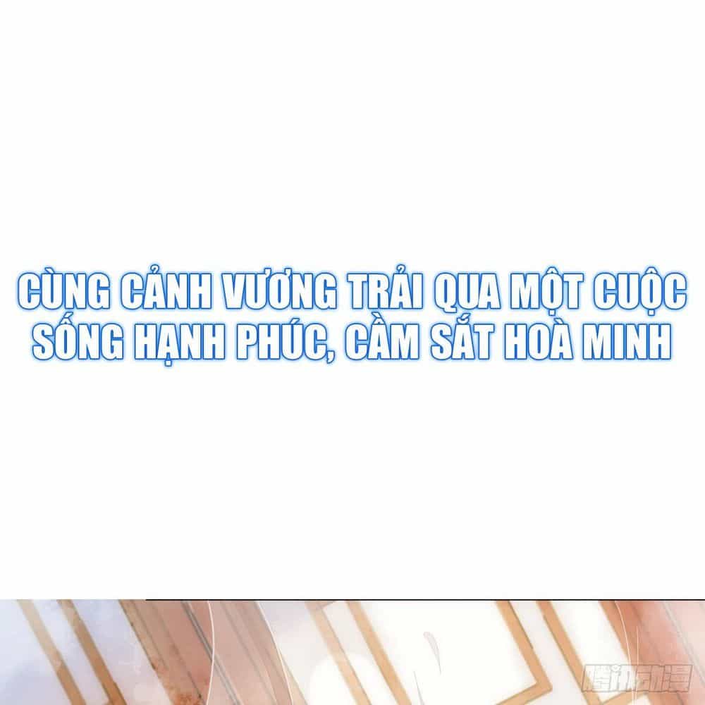 Sát Thủ Vương Phi Không Dễ Đối Phó - Chương 1 - ảnh 12