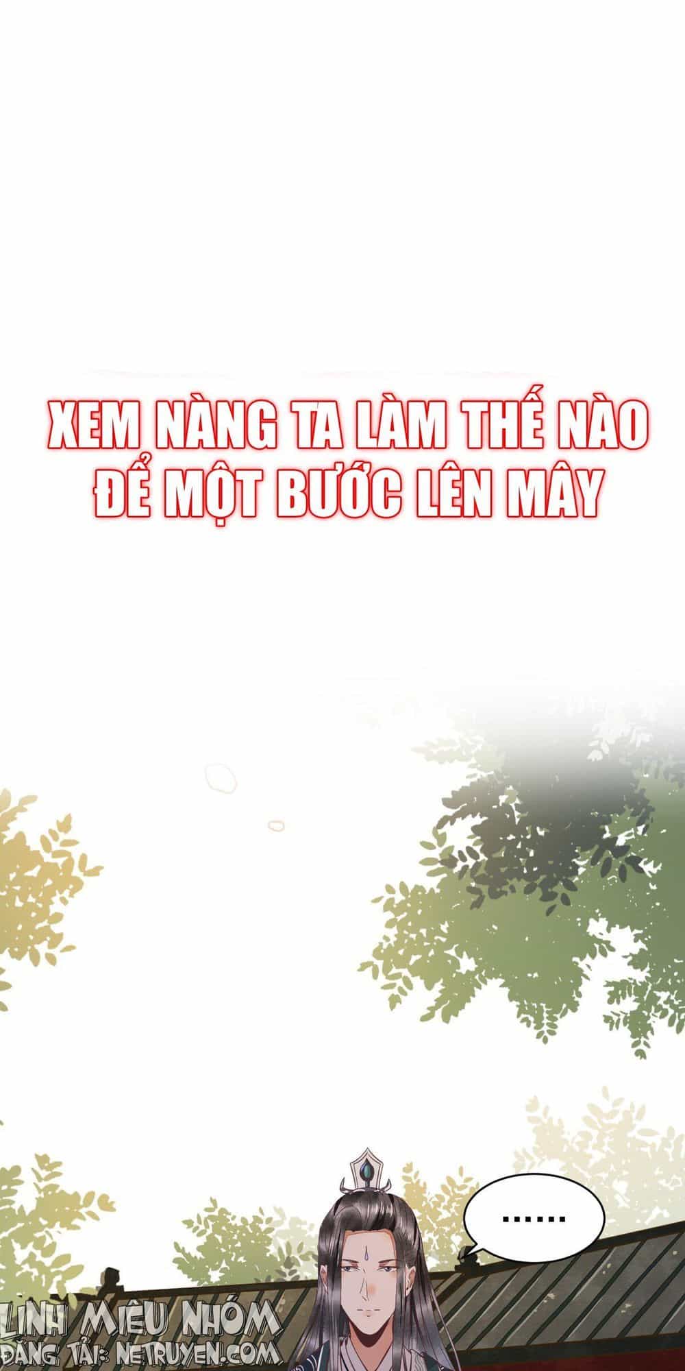 Sát Thủ Vương Phi Không Dễ Đối Phó - Chương 1 - ảnh 16