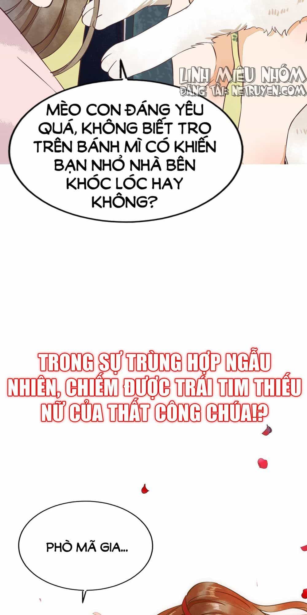 Sát Thủ Vương Phi Không Dễ Đối Phó - Chương 1 - ảnh 18