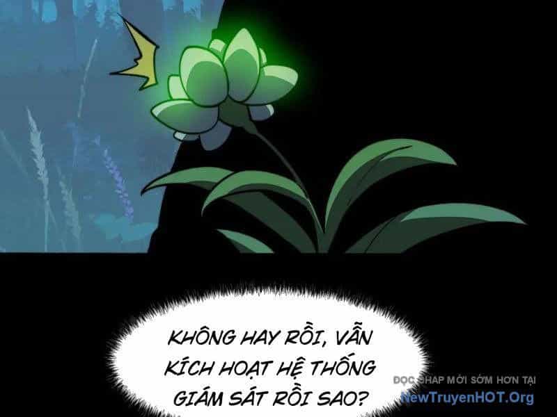 Sau Khi Chia Tay Hoa Khôi, Võ Đạo Của Ta Thẳng Tới Cấp Thần - Chương 15 - ảnh 34