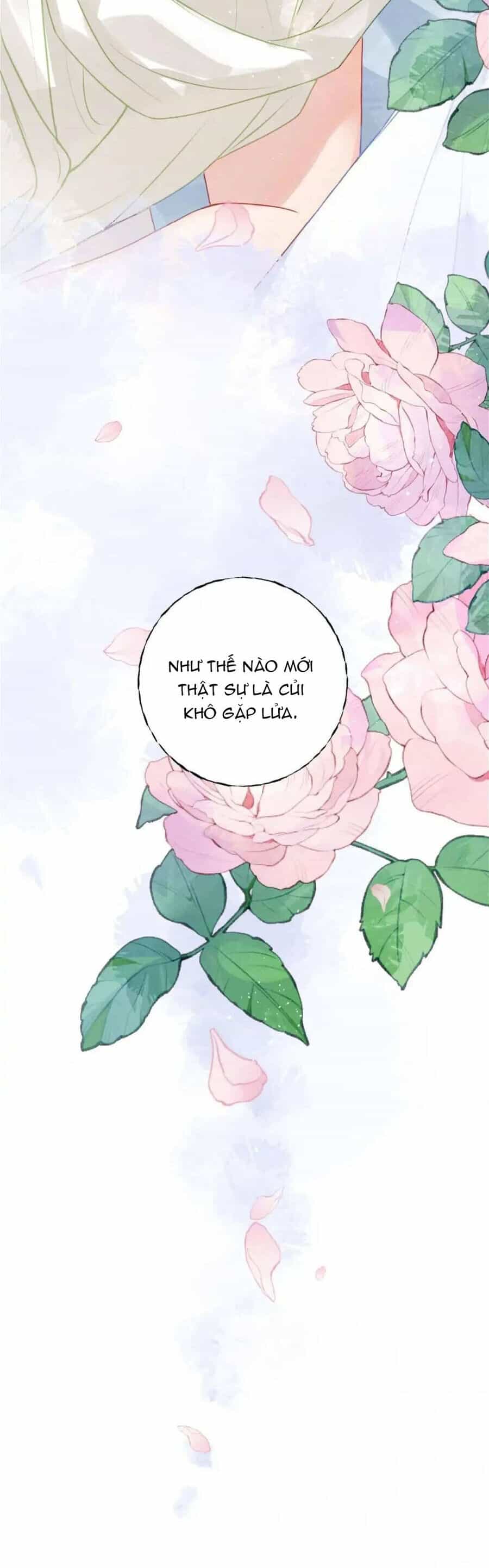Sau Khi Công Chúa Bội Tình Bạc Nghĩa - Chương 30 - ảnh 23