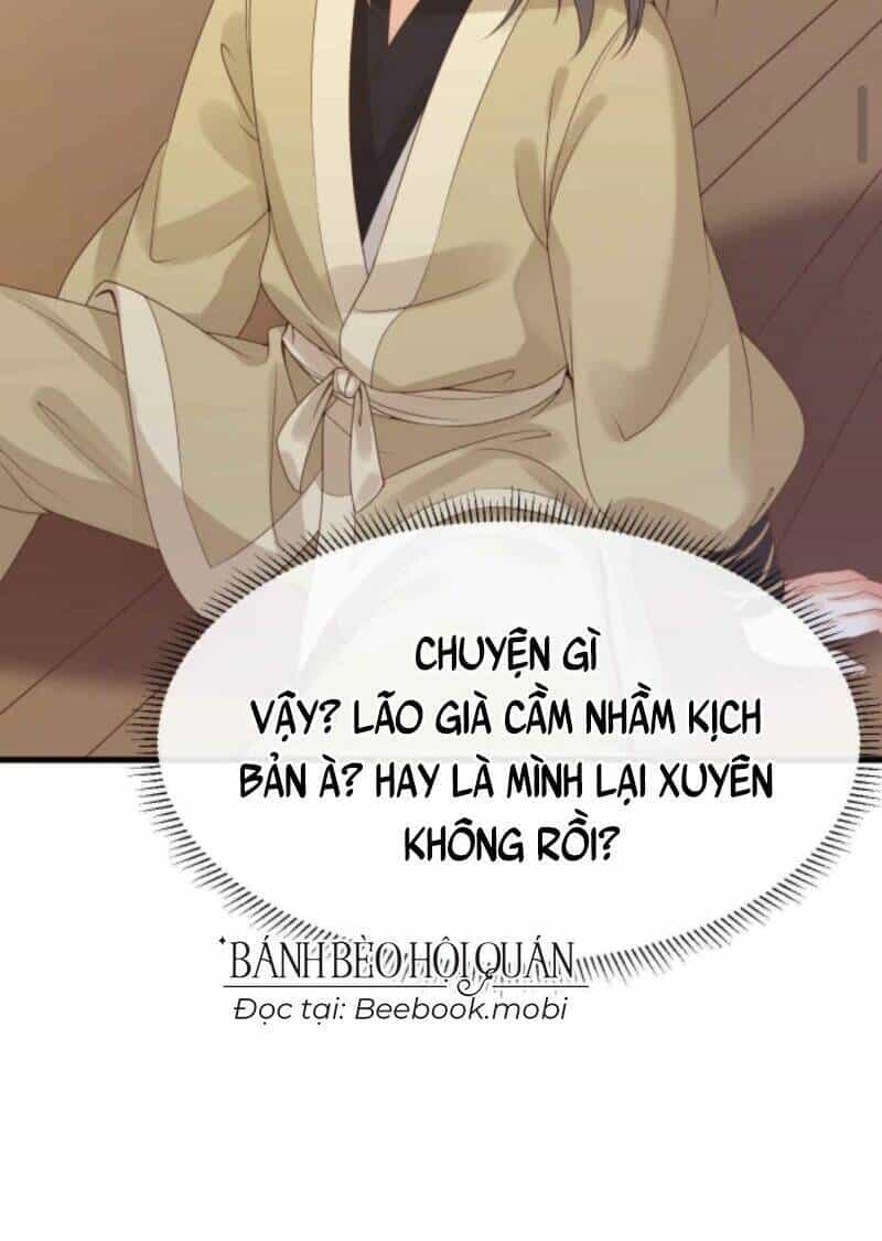 Sau Khi Không Ngừng Tìm Đường Chết, Ta Trở Thành Đế Tôn Vạn Người Mê - Chương 28 - ảnh 24