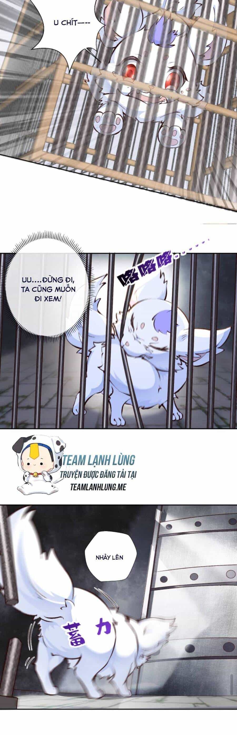 Sau Khi Không Ngừng Tìm Đường Chết, Ta Trở Thành Đế Tôn Vạn Người Mê - Chương 74 - ảnh 17
