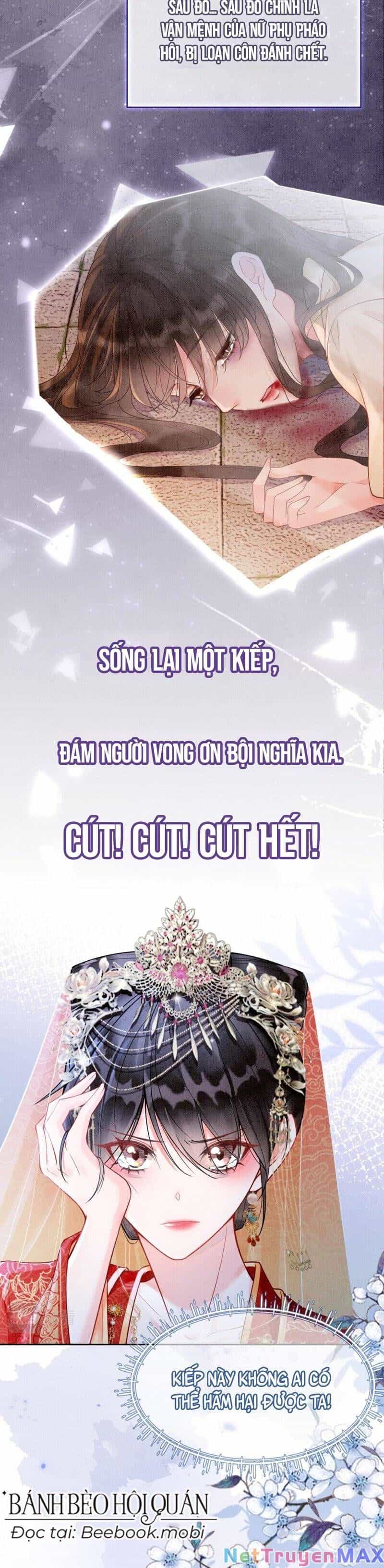 Sau Khi Nàng Bị Đánh Chết, Các Anh Trai Đều Hối Hận! - Chương 0 - ảnh 3