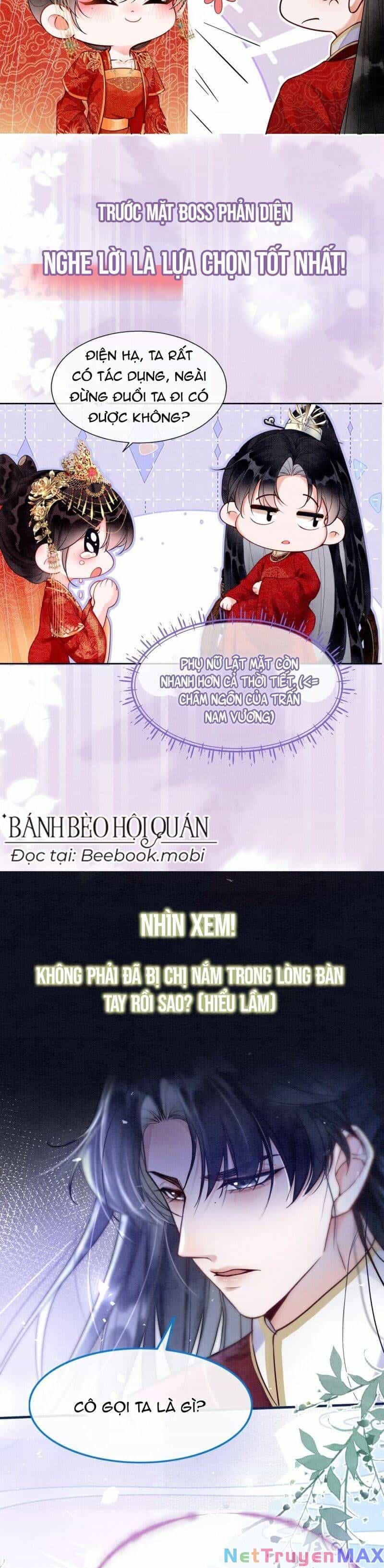 Sau Khi Nàng Bị Đánh Chết, Các Anh Trai Đều Hối Hận! - Chương 0 - ảnh 5