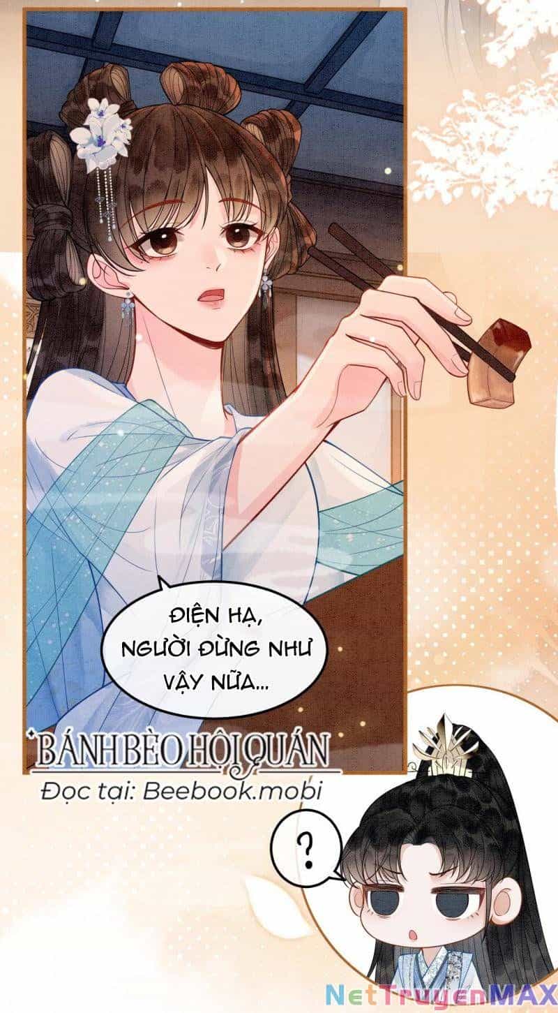 Sau Khi Nàng Bị Đánh Chết, Các Anh Trai Đều Hối Hận! - Chương 11 - ảnh 18