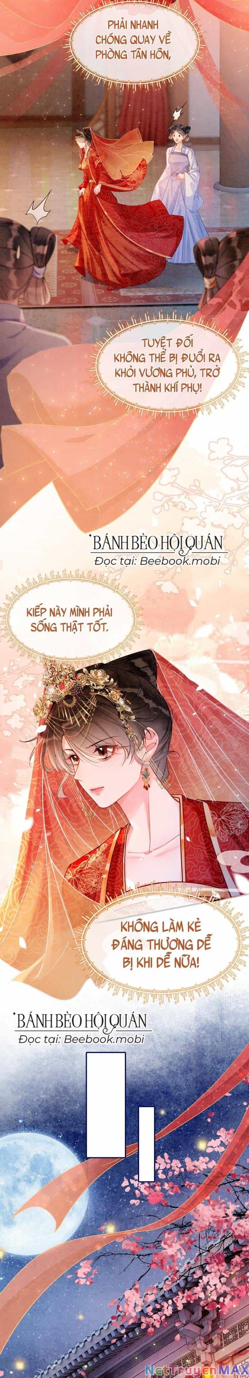 Sau Khi Nàng Bị Đánh Chết, Các Anh Trai Đều Hối Hận! - Chương 1 - ảnh 5