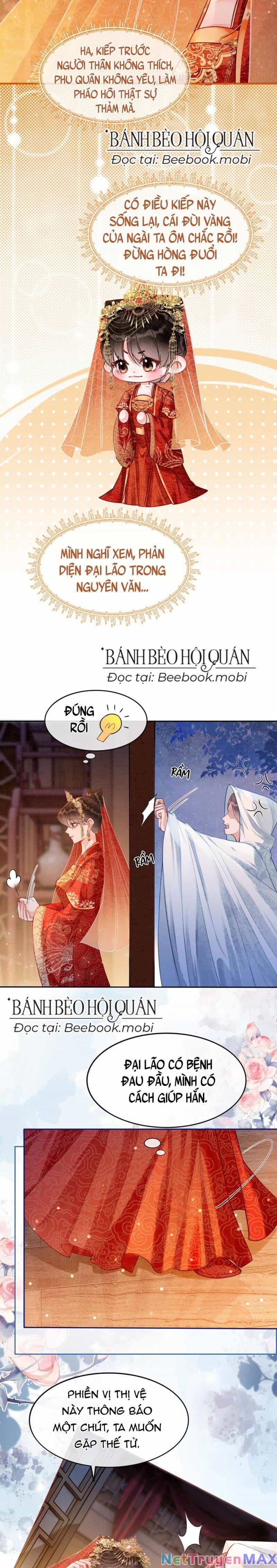 Sau Khi Nàng Bị Đánh Chết, Các Anh Trai Đều Hối Hận! - Chương 1 - ảnh 7