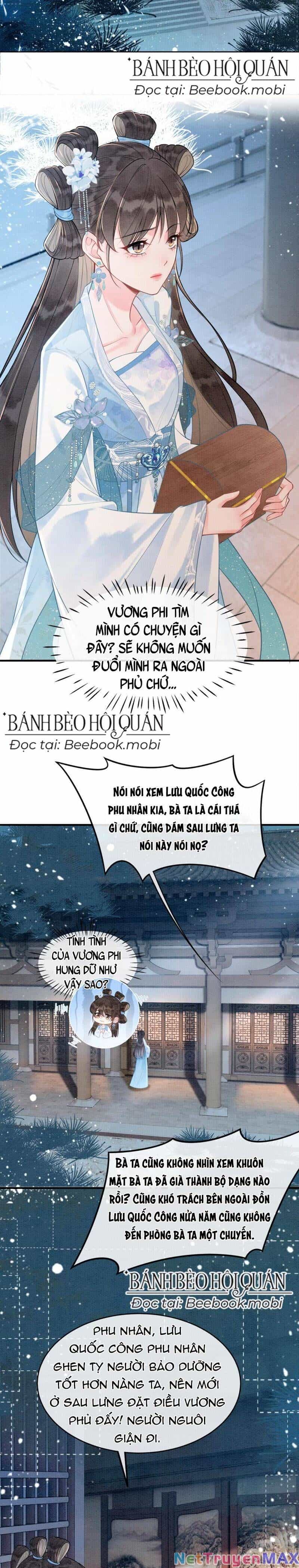 Sau Khi Nàng Bị Đánh Chết, Các Anh Trai Đều Hối Hận! - Chương 7 - ảnh 13