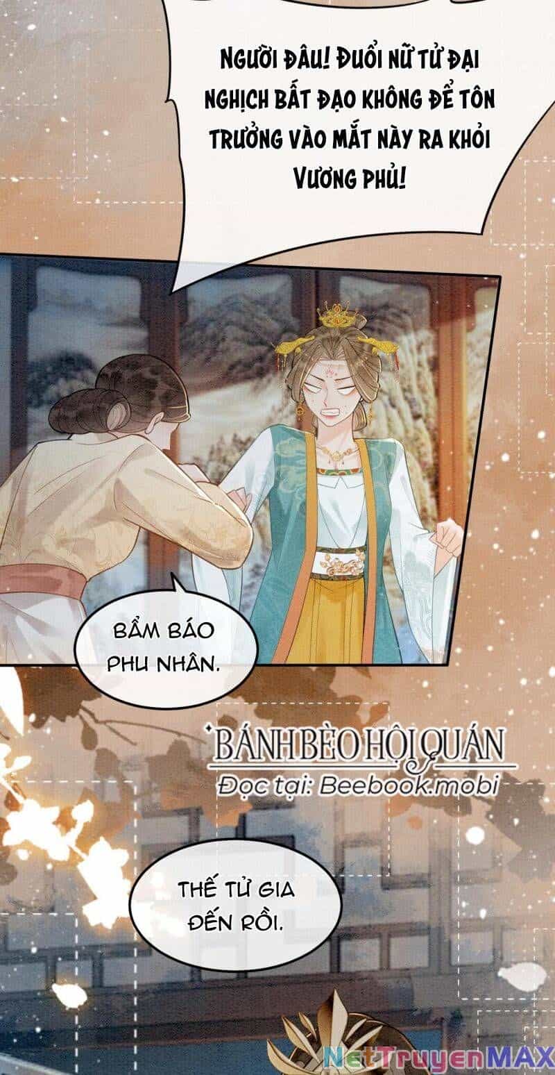Sau Khi Nàng Bị Đánh Chết, Các Anh Trai Đều Hối Hận! - Chương 7 - ảnh 21