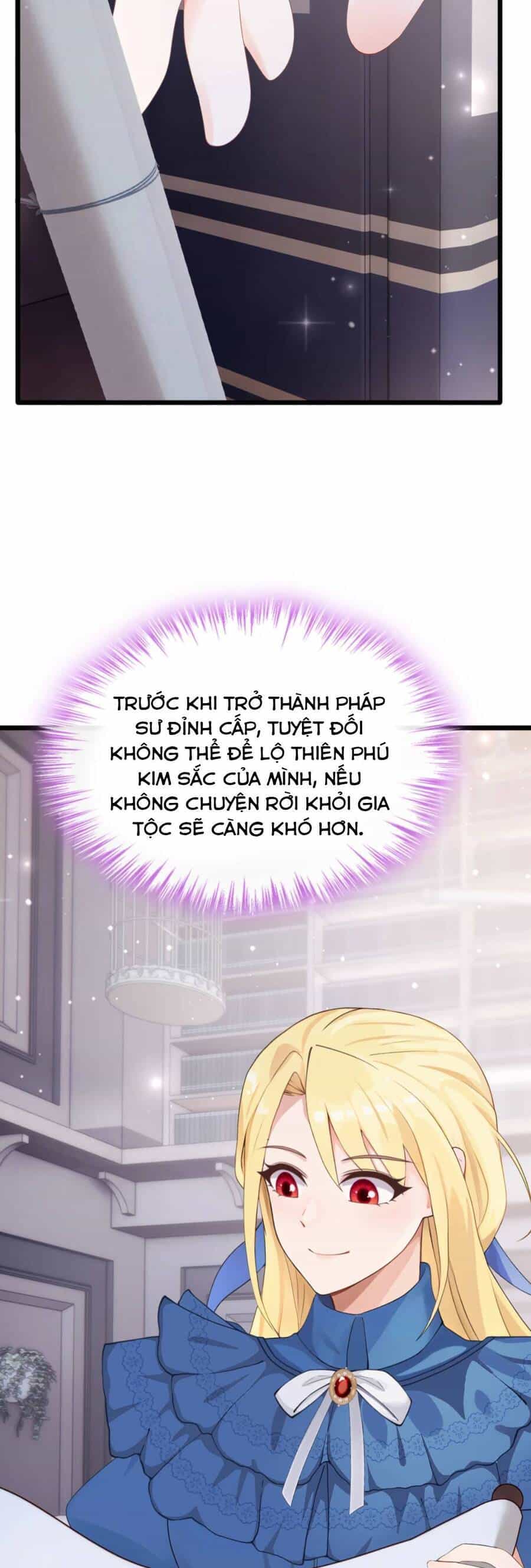 Sau Khi Nhường Lại Thiên Phú, Ta Trở Thành Bảo Bối Của Giới Pháp Thuật - Chương 16 - ảnh 11