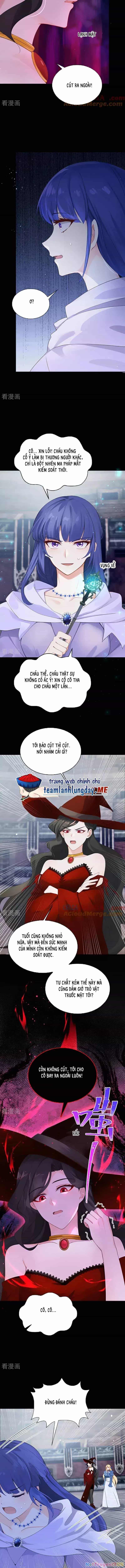 Sau Khi Nhường Lại Thiên Phú, Ta Trở Thành Bảo Bối Của Giới Pháp Thuật - Chương 20 - ảnh 6