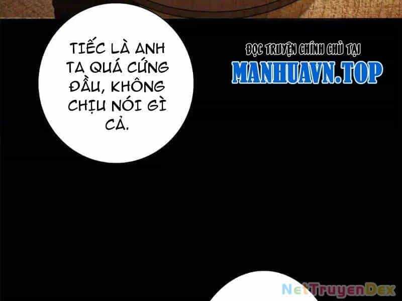 Sau Khi Sống Lại Ở Mạt Thế, Ta Điên Cuồng Thăng Cấp - Chương 28 - ảnh 74