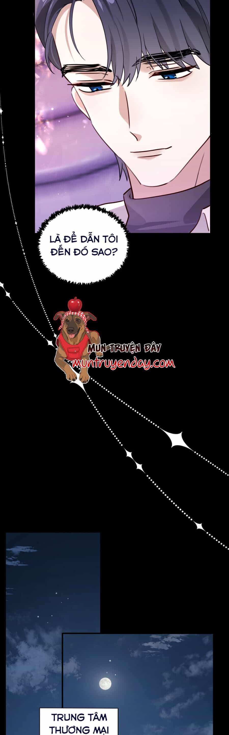 Sau Khi Trùng Sinh, Tôi Gả Cho Kẻ Thù Không Đội Trời Chung Của Tên Tra Nam - Chương 4 - ảnh 5