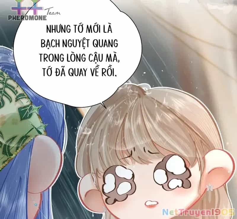 Sau Khi Xuyên Không Thành Thiên Kim Giả, Ta Lấy Lòng Thiên Kim Thật Sống Qua Ngày - Chương 12 - ảnh 95