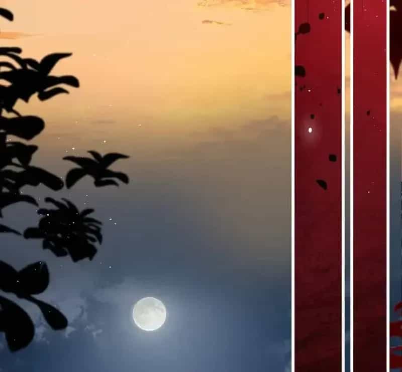 Sau Khi Xuyên Không Thành Thiên Kim Giả, Ta Lấy Lòng Thiên Kim Thật Sống Qua Ngày - Chương 29 - ảnh 84
