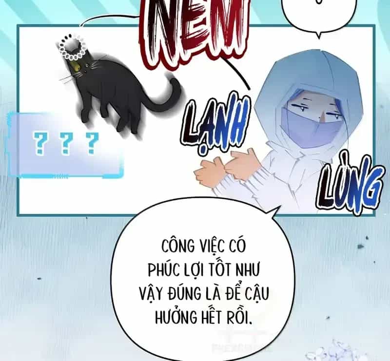 Sau Khi Xuyên Không Thành Thiên Kim Giả, Ta Lấy Lòng Thiên Kim Thật Sống Qua Ngày - Chương 43 - ảnh 33