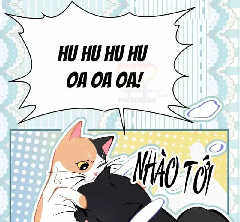 Sau Khi Xuyên Không Thành Thiên Kim Giả, Ta Lấy Lòng Thiên Kim Thật Sống Qua Ngày - Chương 48.5 - ảnh 10