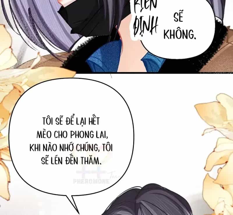 Sau Khi Xuyên Không Thành Thiên Kim Giả, Ta Lấy Lòng Thiên Kim Thật Sống Qua Ngày - Chương 52 - ảnh 41