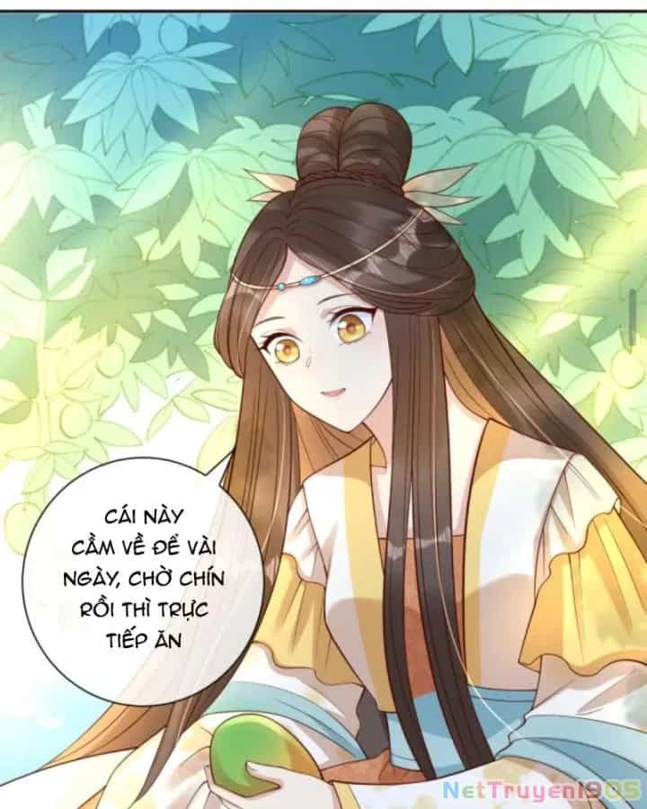Sau Khi Xuyên Sách, 5 Nhân Cách Của Bạo Quân Đều Yêu Ta - Chương 129 - ảnh 32