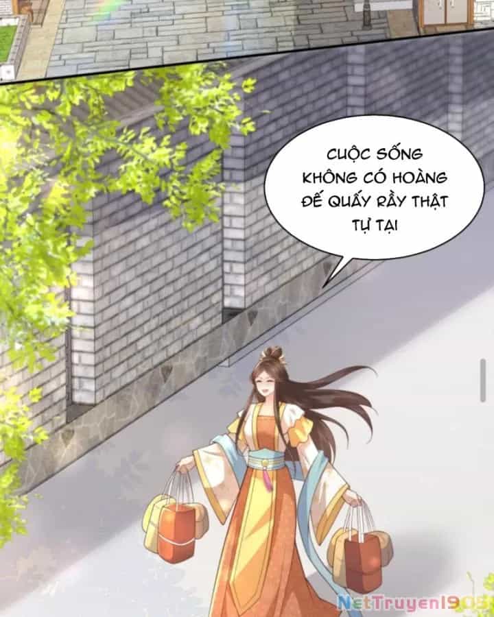Sau Khi Xuyên Sách, 5 Nhân Cách Của Bạo Quân Đều Yêu Ta - Chương 135 - ảnh 5