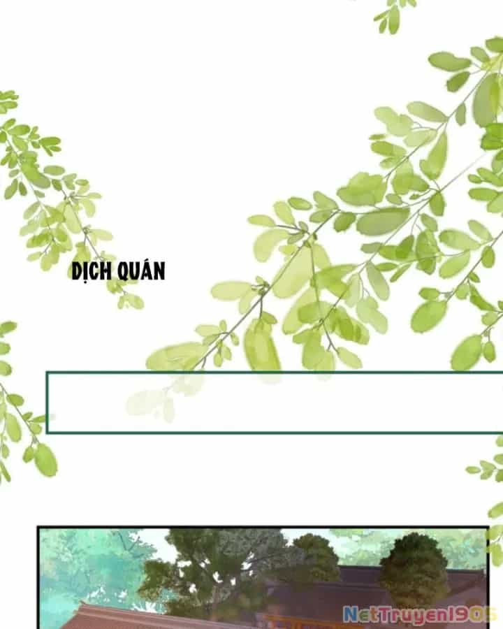 Sau Khi Xuyên Sách, 5 Nhân Cách Của Bạo Quân Đều Yêu Ta - Chương 145 - ảnh 16