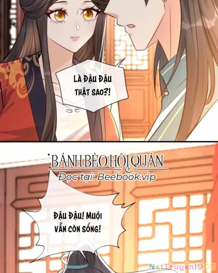 Sau Khi Xuyên Sách, 5 Nhân Cách Của Bạo Quân Đều Yêu Ta - Chương 240 - ảnh 12