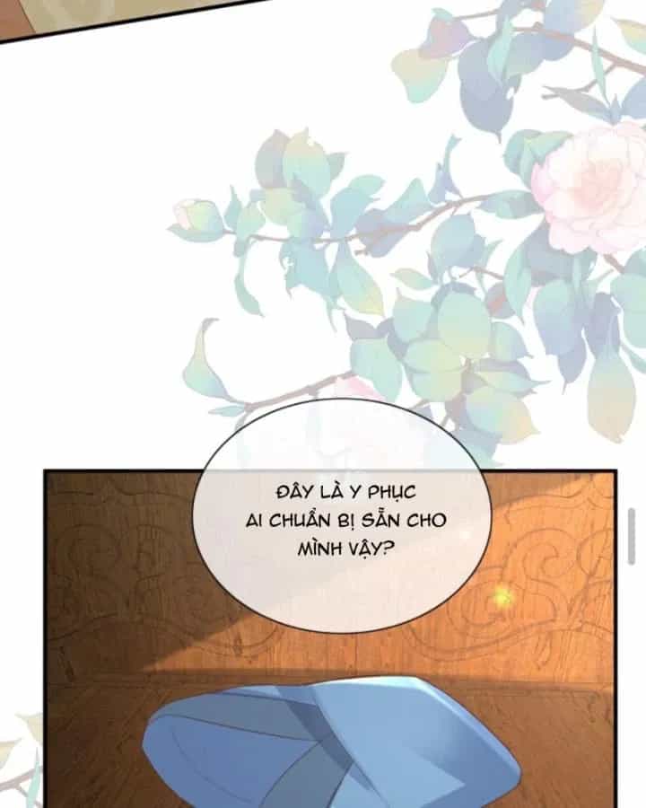 Sau Khi Xuyên Sách, 5 Nhân Cách Của Bạo Quân Đều Yêu Ta - Chương 245 - ảnh 52