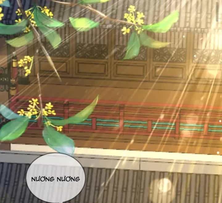Sau Khi Xuyên Sách, 5 Nhân Cách Của Bạo Quân Đều Yêu Ta - Chương 261 - ảnh 34