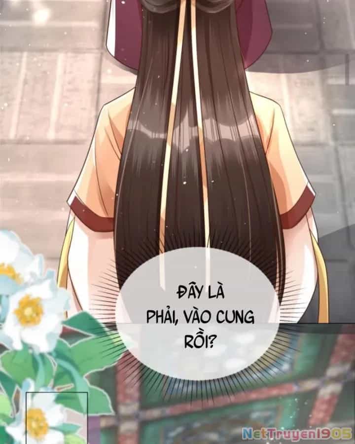 Sau Khi Xuyên Sách, 5 Nhân Cách Của Bạo Quân Đều Yêu Ta - Chương 58 - ảnh 31