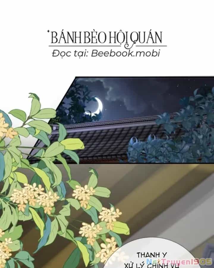 Sau Khi Xuyên Sách, 5 Nhân Cách Của Bạo Quân Đều Yêu Ta - Chương 63 - ảnh 3