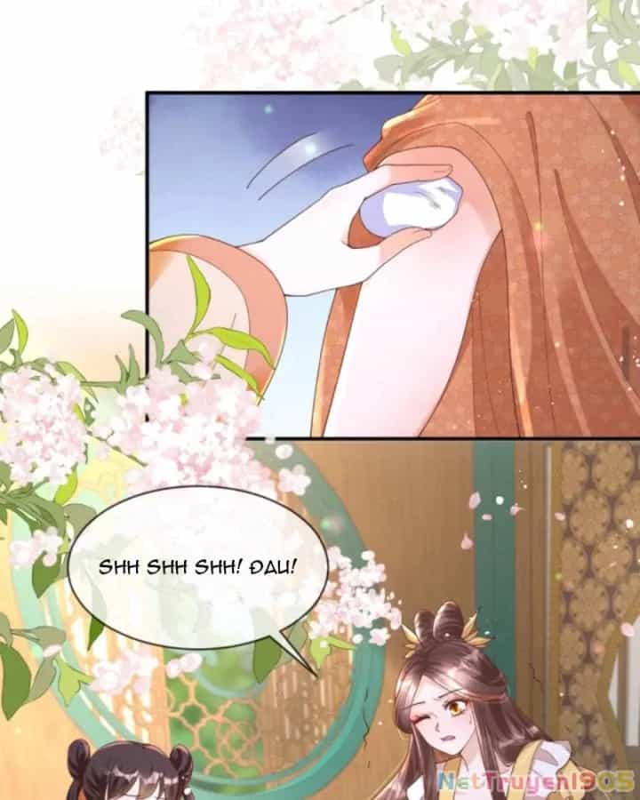 Sau Khi Xuyên Sách, 5 Nhân Cách Của Bạo Quân Đều Yêu Ta - Chương 83 - ảnh 8