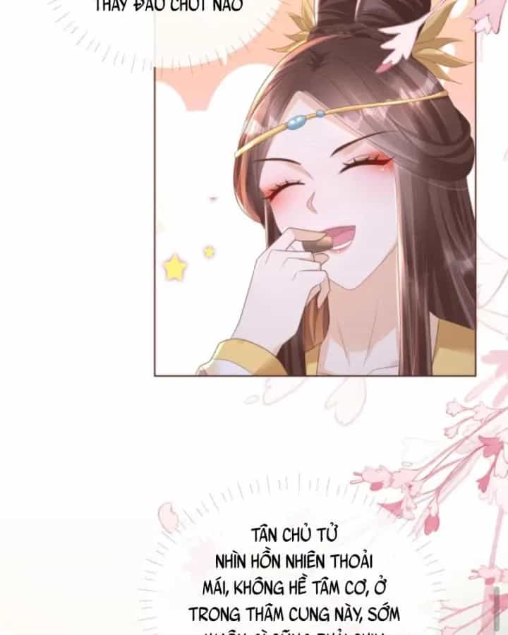 Sau Khi Xuyên Sách, 5 Nhân Cách Của Bạo Quân Đều Yêu Ta - Chương 87 - ảnh 32