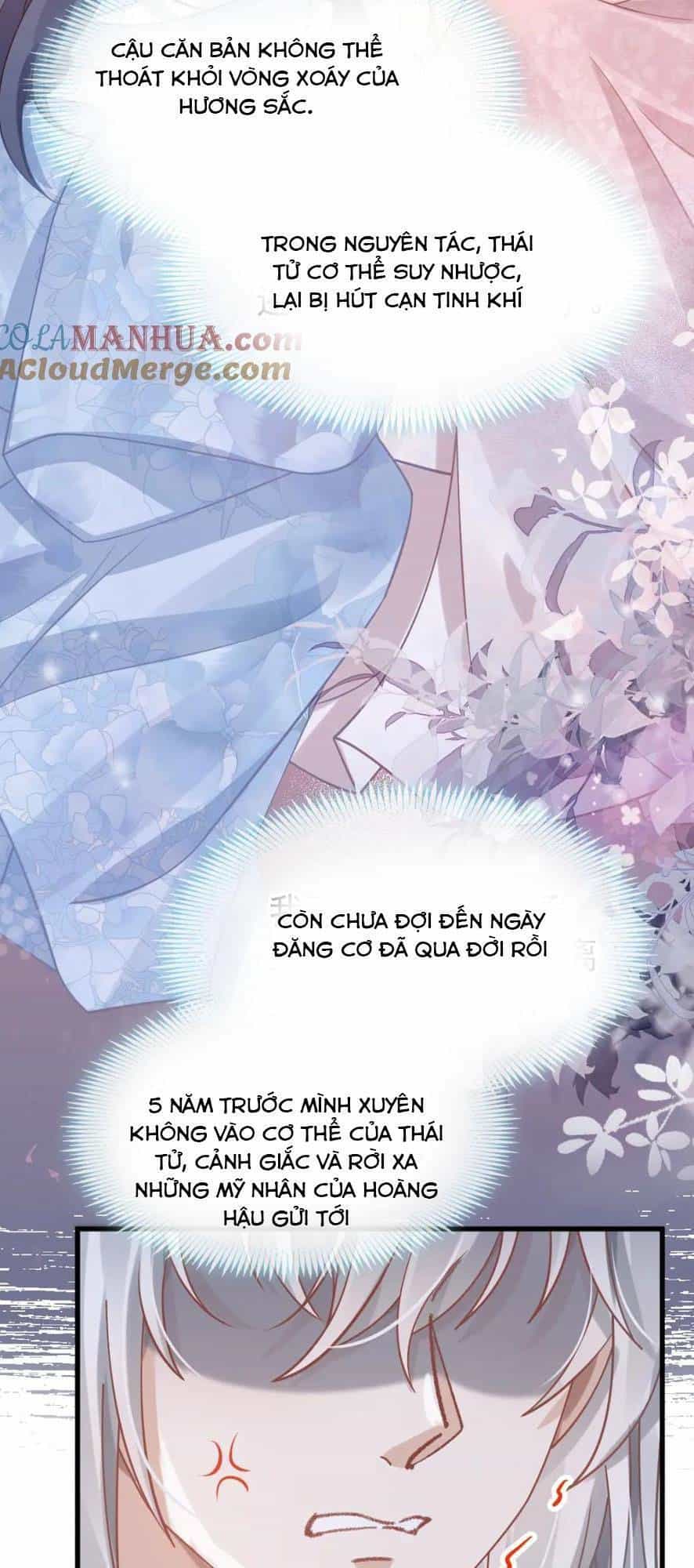 Sau Khi Xuyên Sách, Ta Bị Ép Trở Thành Simp - Chương 15 - ảnh 34