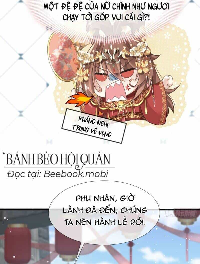 Sau Khi Xuyên Sách, Ta Bị Ép Trở Thành Simp - Chương 4 - ảnh 7
