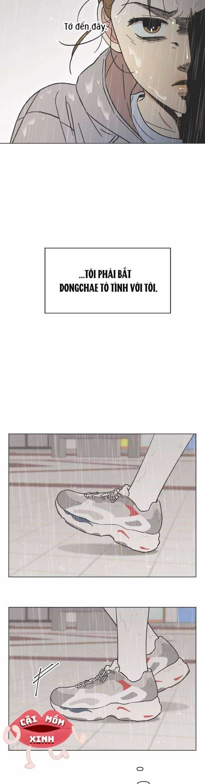 Seasons Of Lovesome - Chương 18.1 - ảnh 29