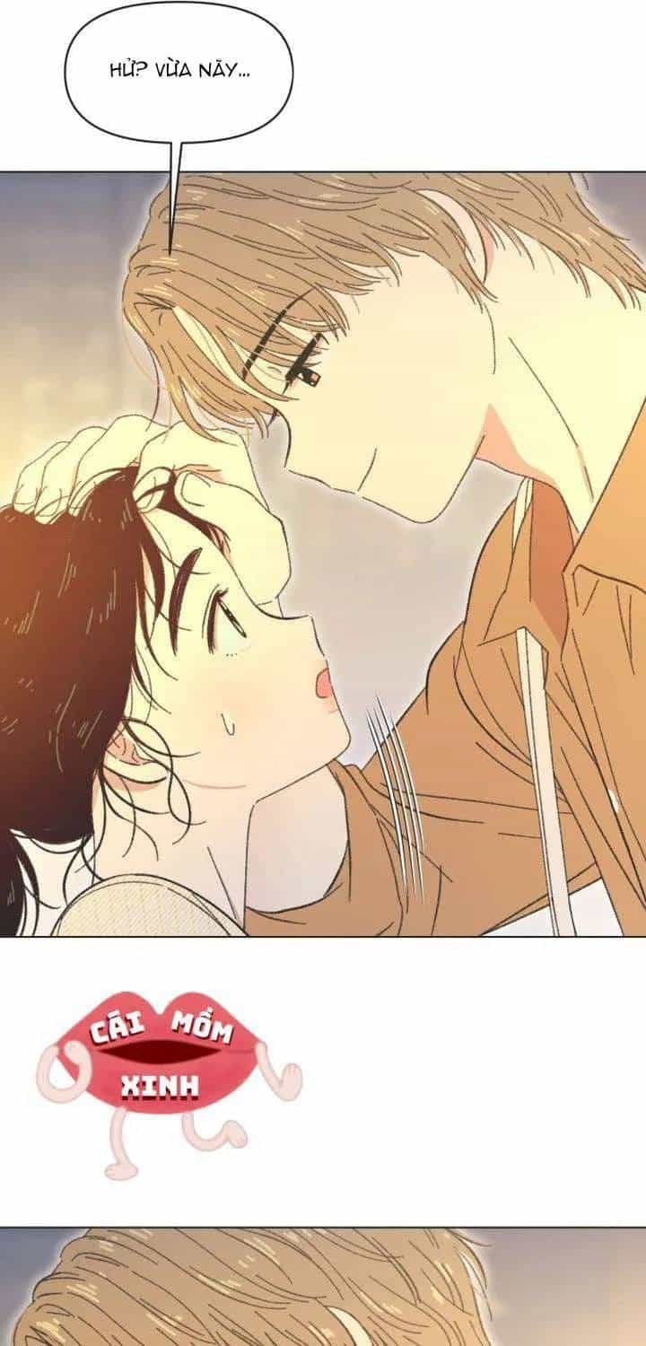 Seasons Of Lovesome - Chương 61 - ảnh 51