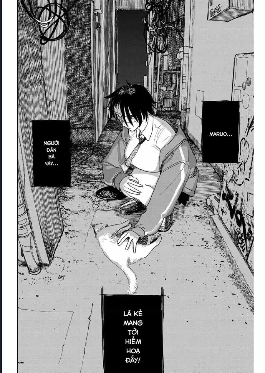 Seishun Bakusou! - Chương 14 - ảnh 18