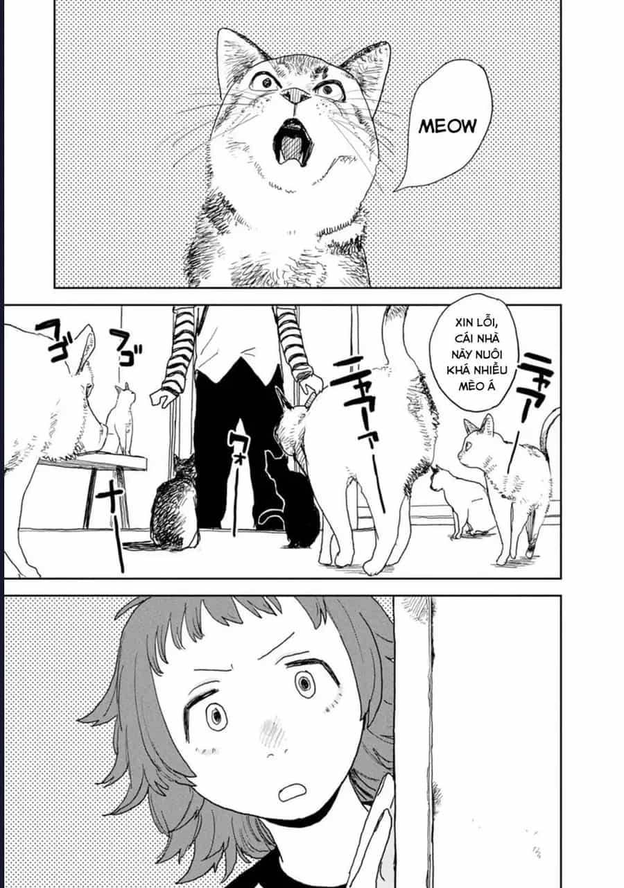 Seishun Bakusou! - Chương 26 - ảnh 17