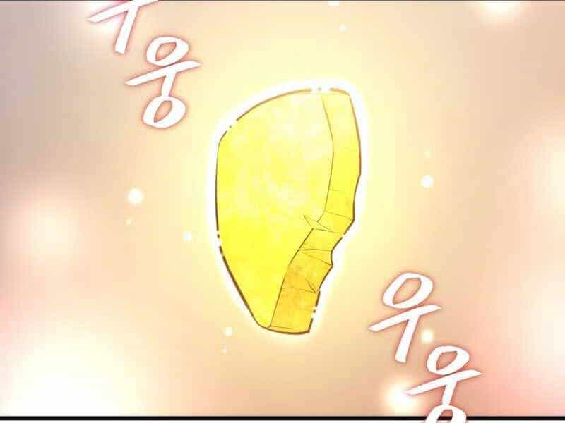 Seoul Tử Linh Sư - Chương 48 - ảnh 24