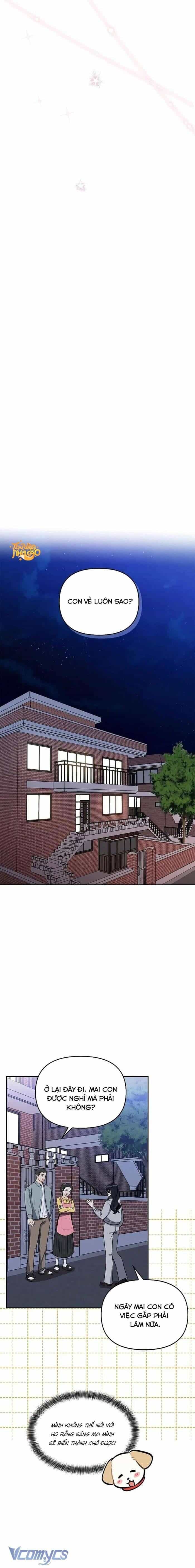 Sếp, Em Sẽ Trở Thành Cún Cưng Của Anh - Chương 28 - ảnh 13
