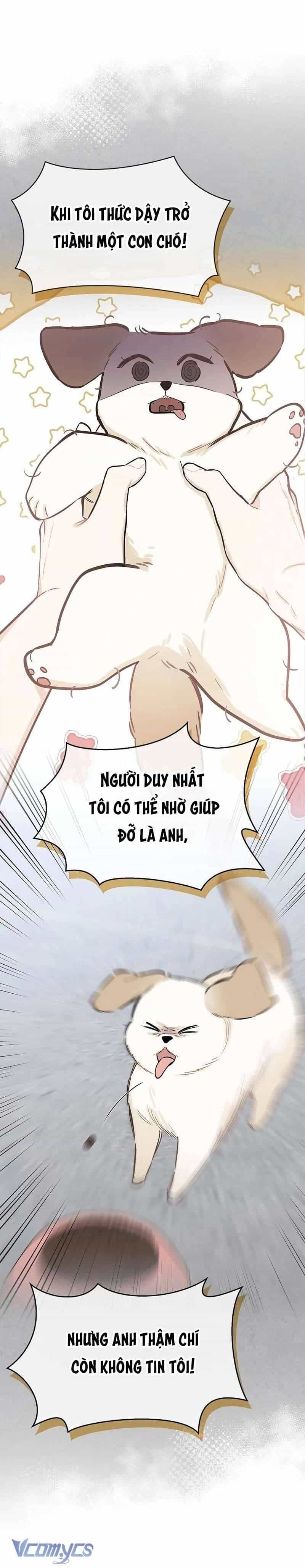 Sếp, Em Sẽ Trở Thành Cún Cưng Của Anh - Chương 5 - ảnh 16